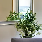 Duerming Sea View Apartament Viveiro