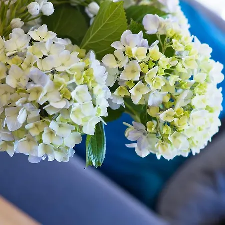 Duerming Sea View アパート ビベイロ