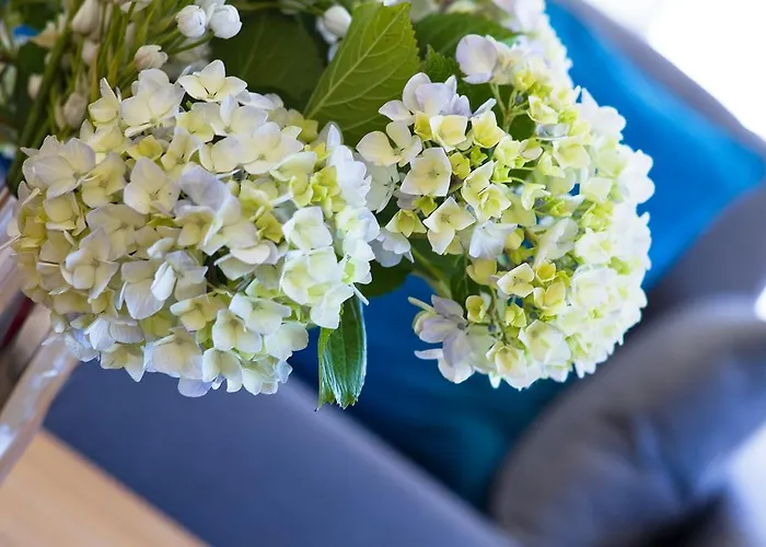 Duerming Sea View Daire Viveiro