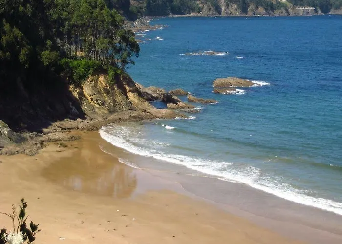 Duerming Sea View Viveiro